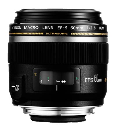 Canon EF-S 60mm f/2.8 Macro USM main image