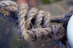 Tamron SP AF 90mm f/2.8 Di Macro rope