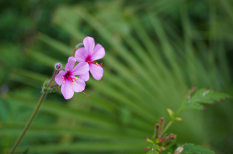 At maximum aperture, sharpness is already excellent in the centre of the frame | 1/160 sec | f/2.8 | 40.0 mm | ISO 100