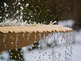 Sharpness is excellent at shorter focal lengths but drops as you approach 300mm  | 1/500 sec | f/5.8 | 164.0 mm | ISO 160