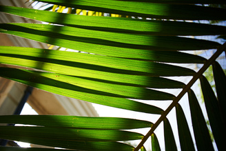 Contrast holds up well when shooting into the light | 1/800 sec | f/2.8 | 28.0 mm | ISO 200