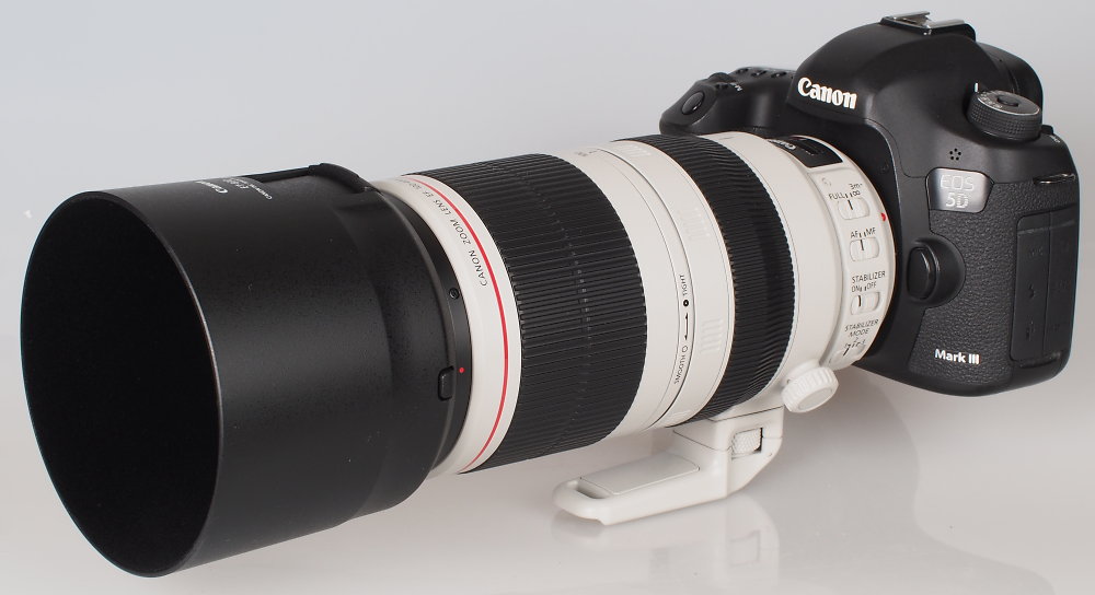 Canon EF 100 400mm F4