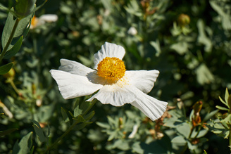 1/1000 sec | f/5.6 | 50.0 mm | ISO 200