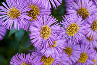 1/40 sec | f/5.6 | 50.0 mm | ISO 200