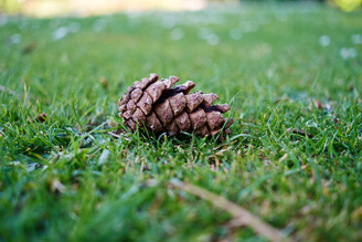 1/100 sec | f/2.8 | 27.0 mm | ISO 200
